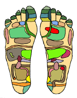An example of a reflexology chart, demonstrating the areas of the feet that practitioners believe correspond with organs in the "zones" of the body.