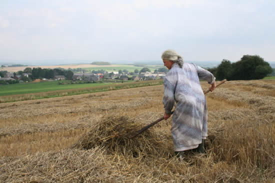 A Farmer carrying the wilting straw.